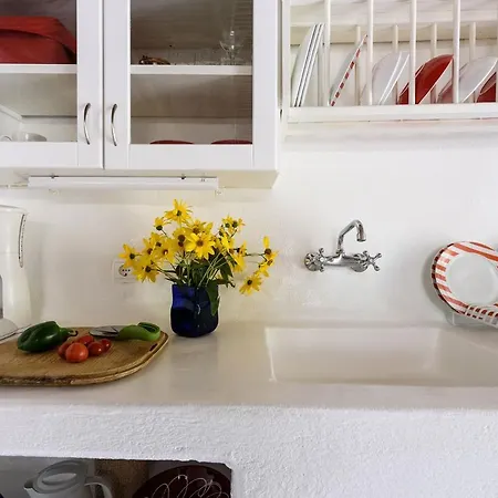 The Olive Mill Tatil Evi